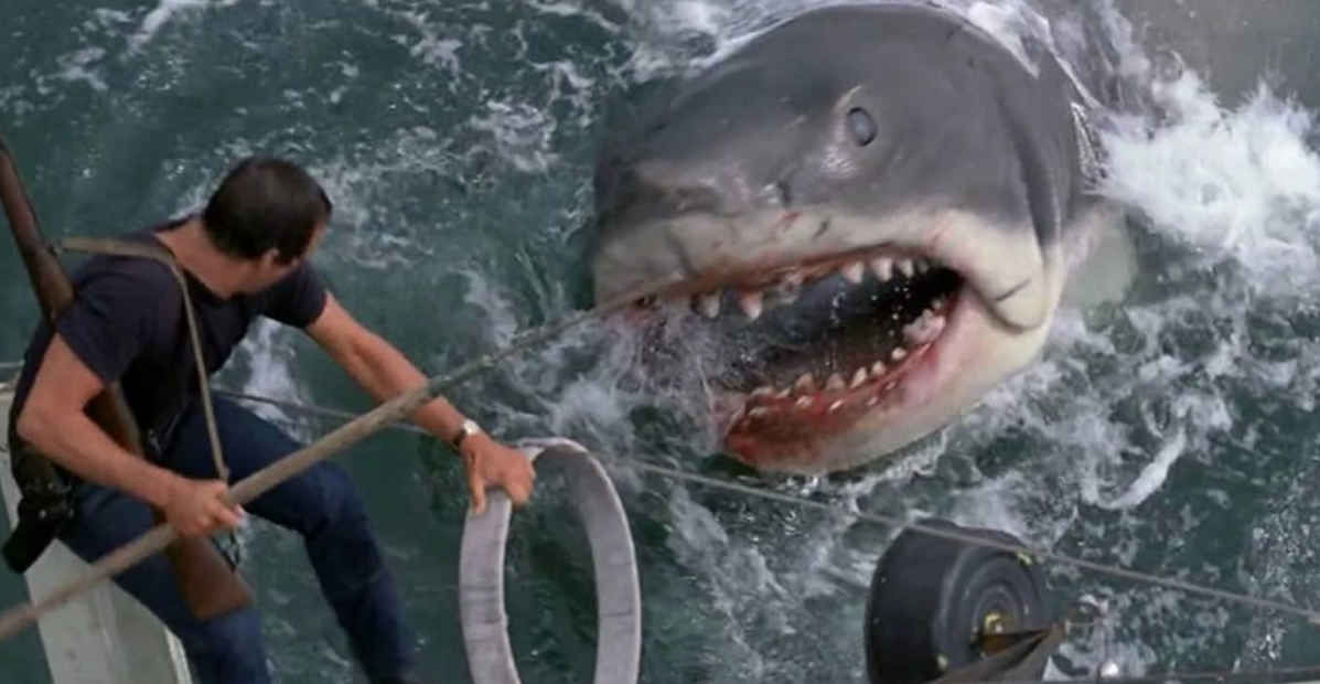 A still from Steven Spielberg's Jaws