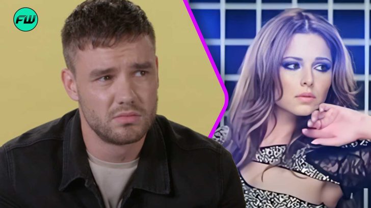 Liam Payne Blamed Himself For Breakup With Cheryl Cole Still Respected