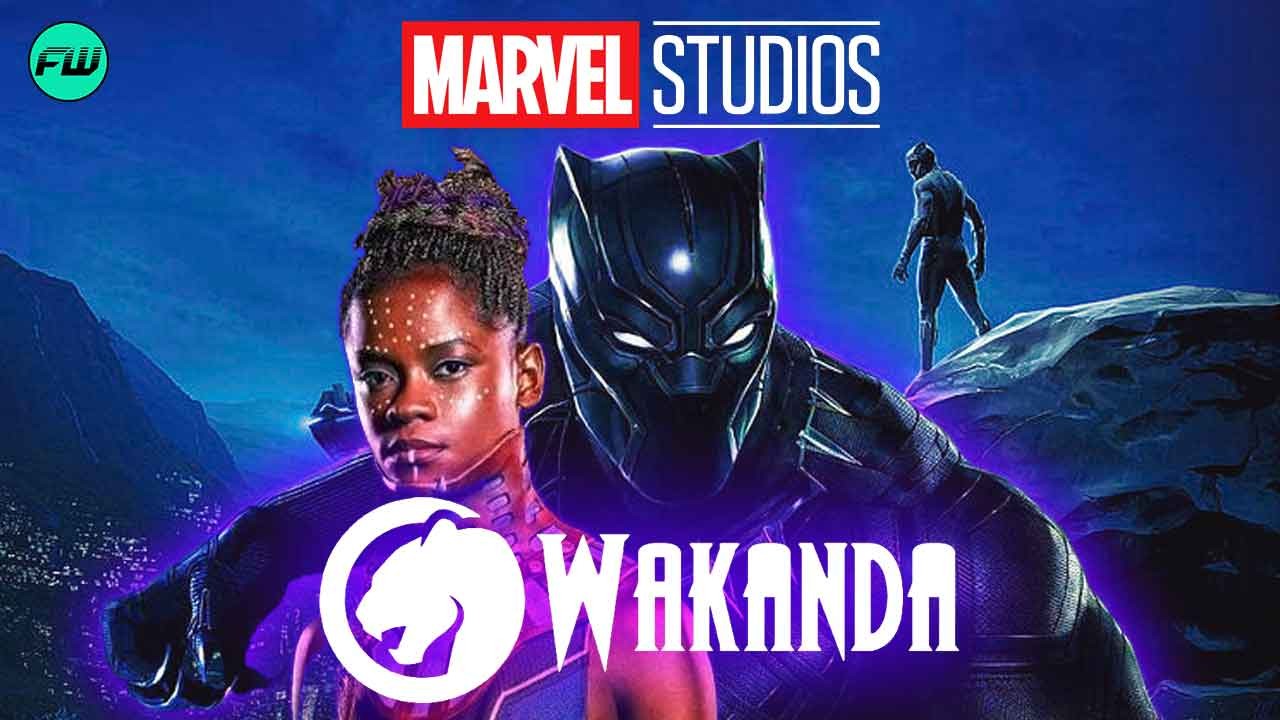 Black Panther 2 Might Face Cancelation in France Due to Disney’s Policies