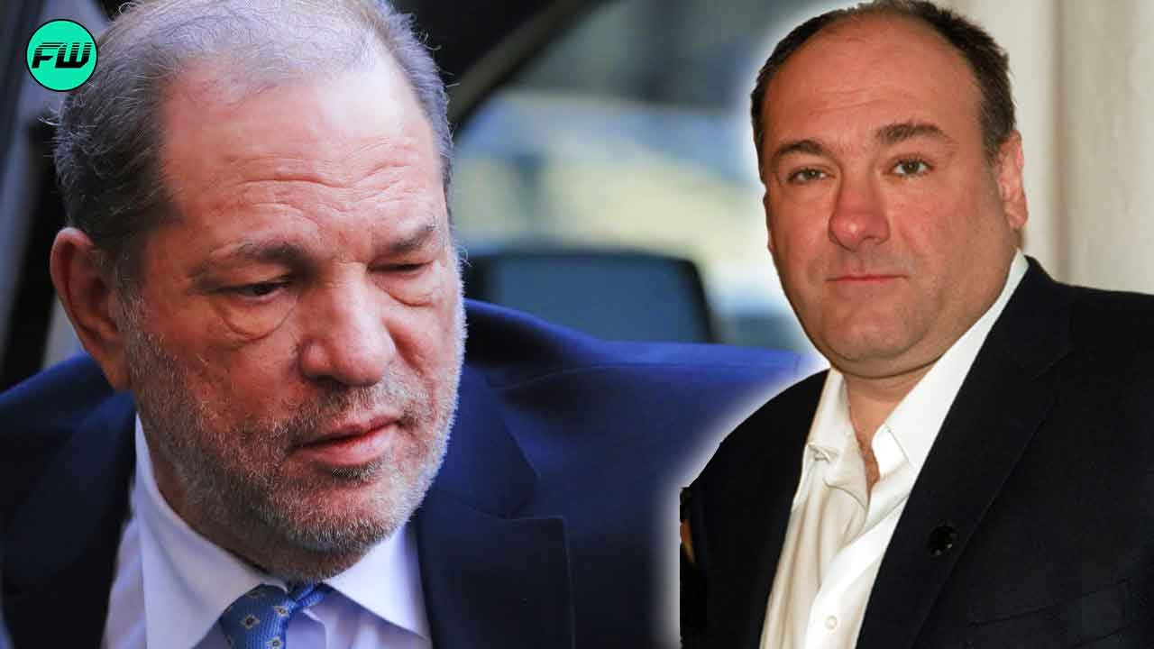 “I’ll beat the f—k out of him”: The Sopranos Star Who Would’ve Turned 61 This Year Threatened to Beat Sexual Predator Harvey Weinstein, Was King Sh-t Before #MeToo Happened