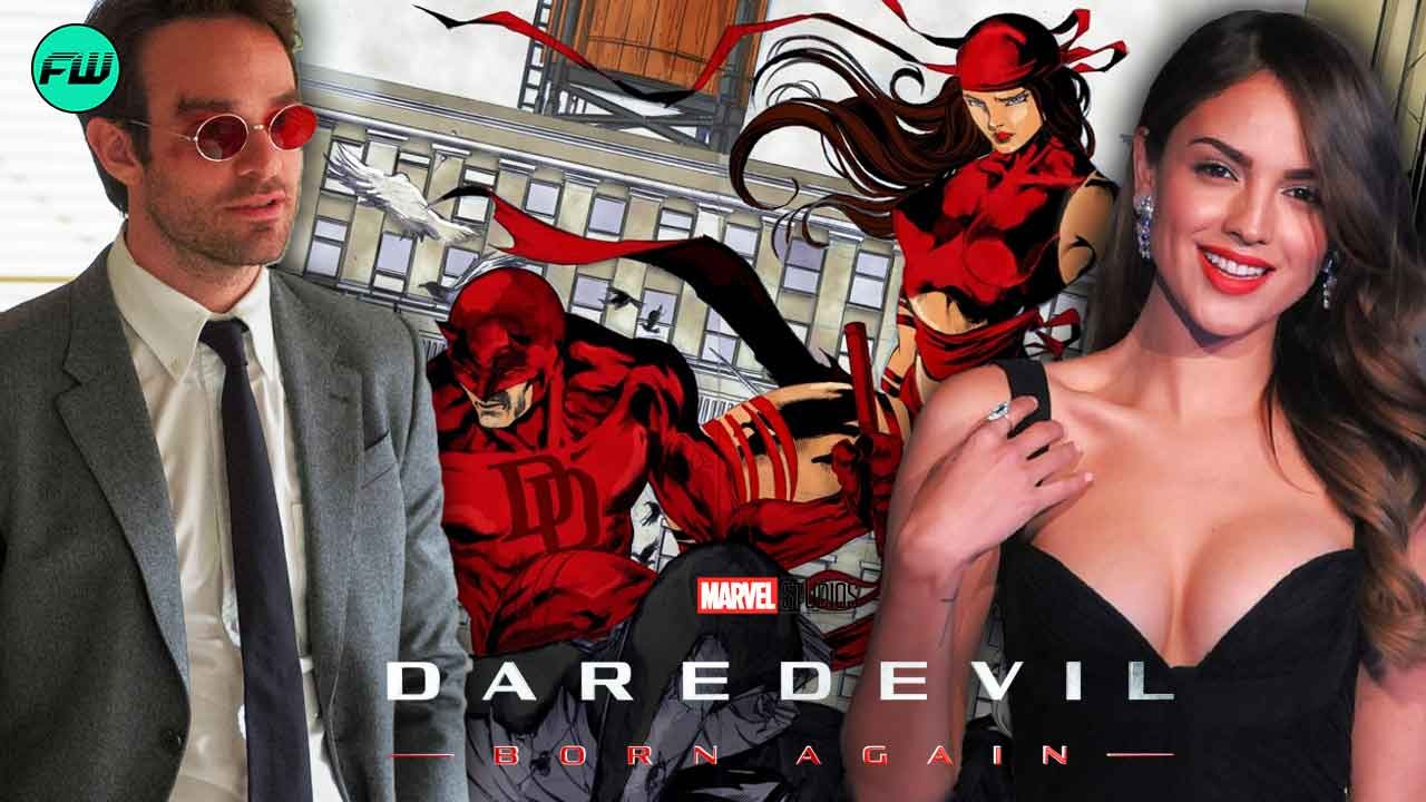 Marvel Daredevil Born Again Elektra