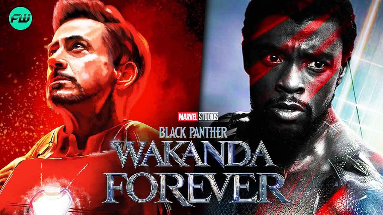 Black Panther and Iron Man