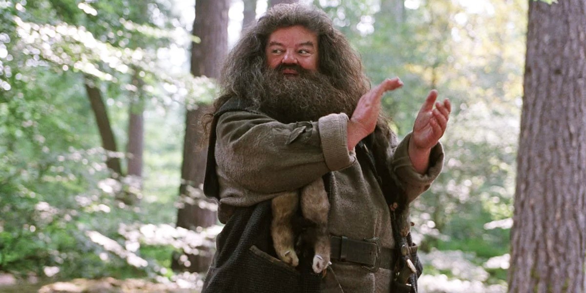 Robbie Coltrane as Hagrid