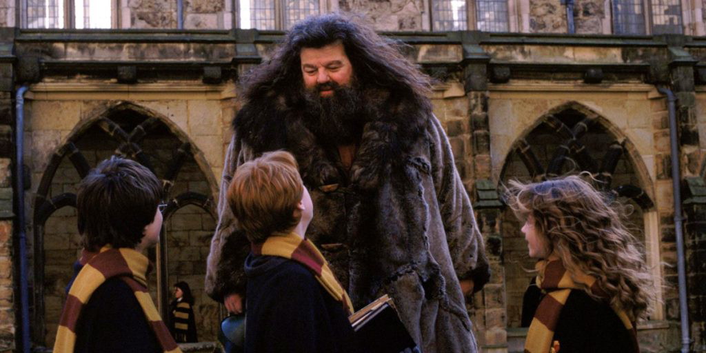 Hagrid Robbie Coltrane HP