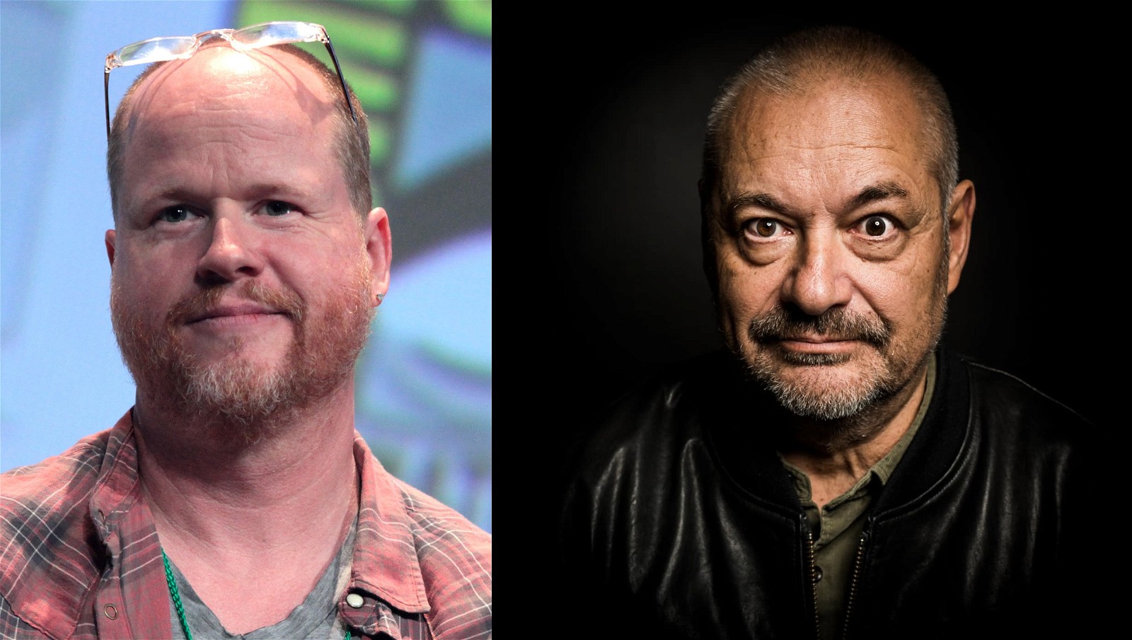 Joss Whedon's disdain for Jean-Pierre Jeunet's direction