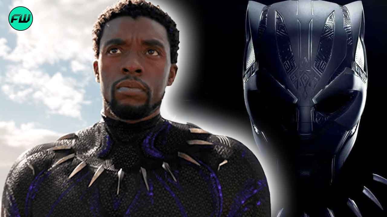 Who is the New Black Panther After Chadwick Boseman