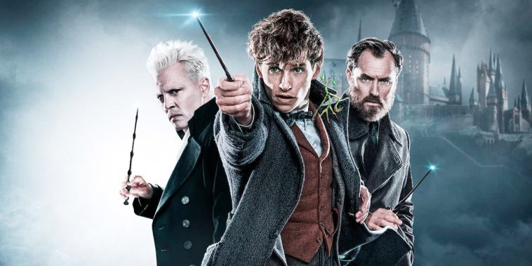 Fantastic Beasts Franchise Reportedly Dead at Warner Brothers, David