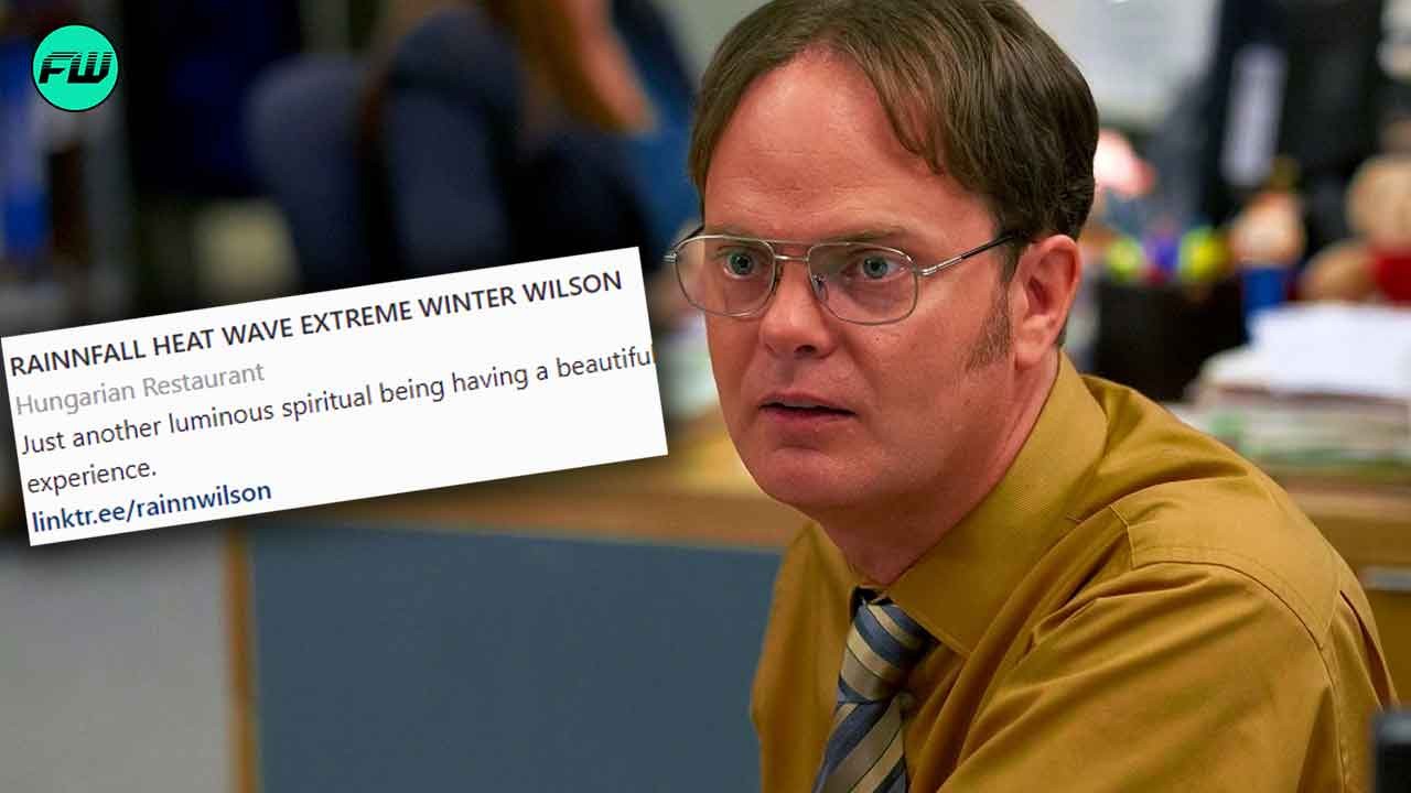 Rainn Wilson the office