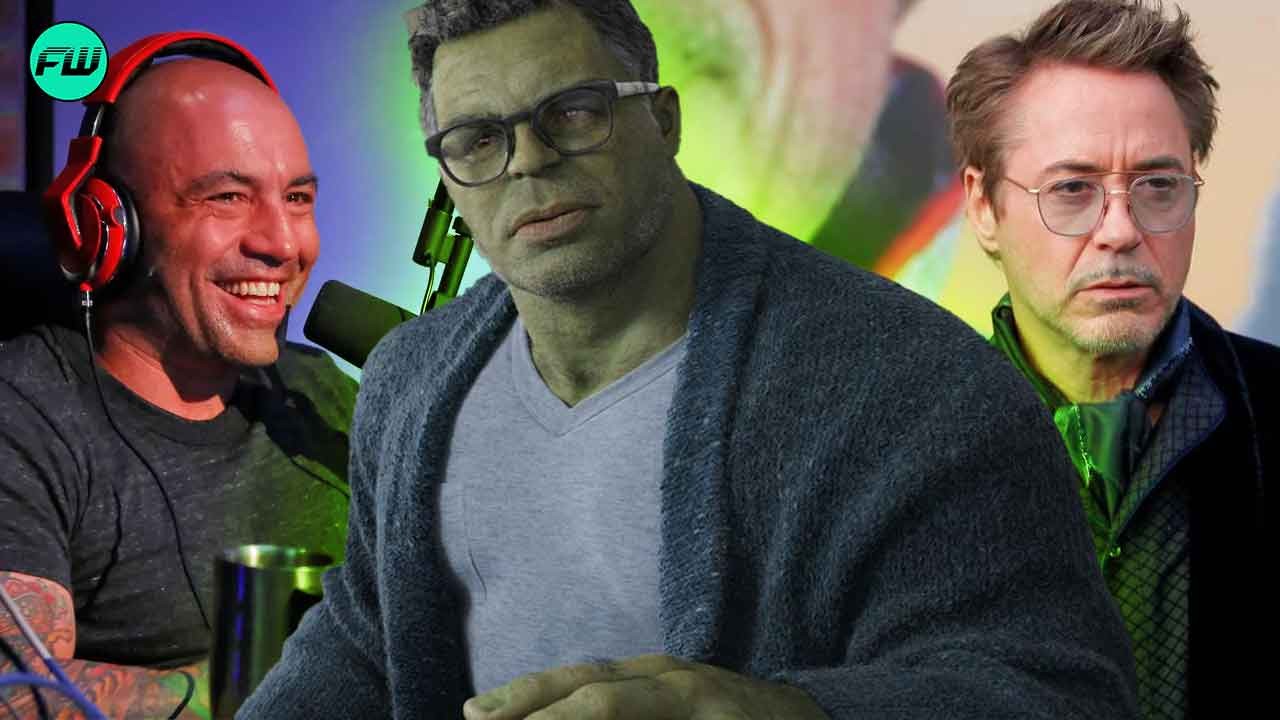 Robert Downey Jr, Joe Rogan Believe MCU Made Mark Ruffalo Miserable, Claim Smart Hulk Was a Bad Idea