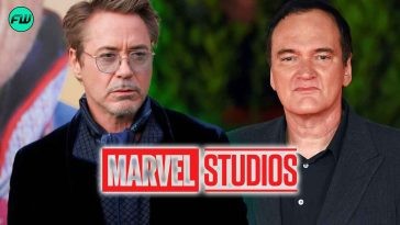 Robert Downey Jr's Feud With Legendary Director to Defend Marvel Movies Sparks a Massive Debate