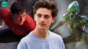 Timothée Chalamet Was Desperate to Steal Tom Holland’s Spider-Man Role