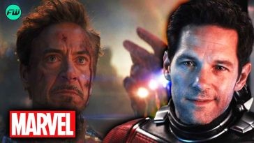 "You can't even imagine another actor in that part": Marvel Replacing Robert Downey Jr as Iron Man Might Disappoint Ant-Man Star Paul Rudd