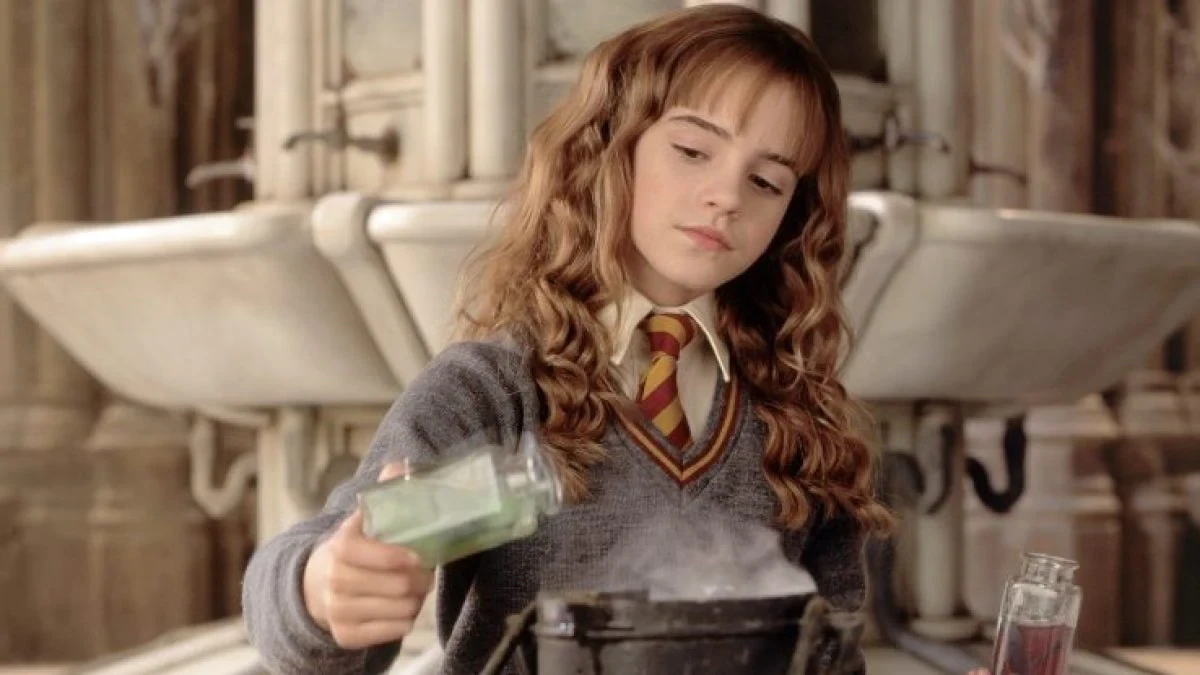 Emma Watson gained immense fame as Hermoine in the Harry Potter series