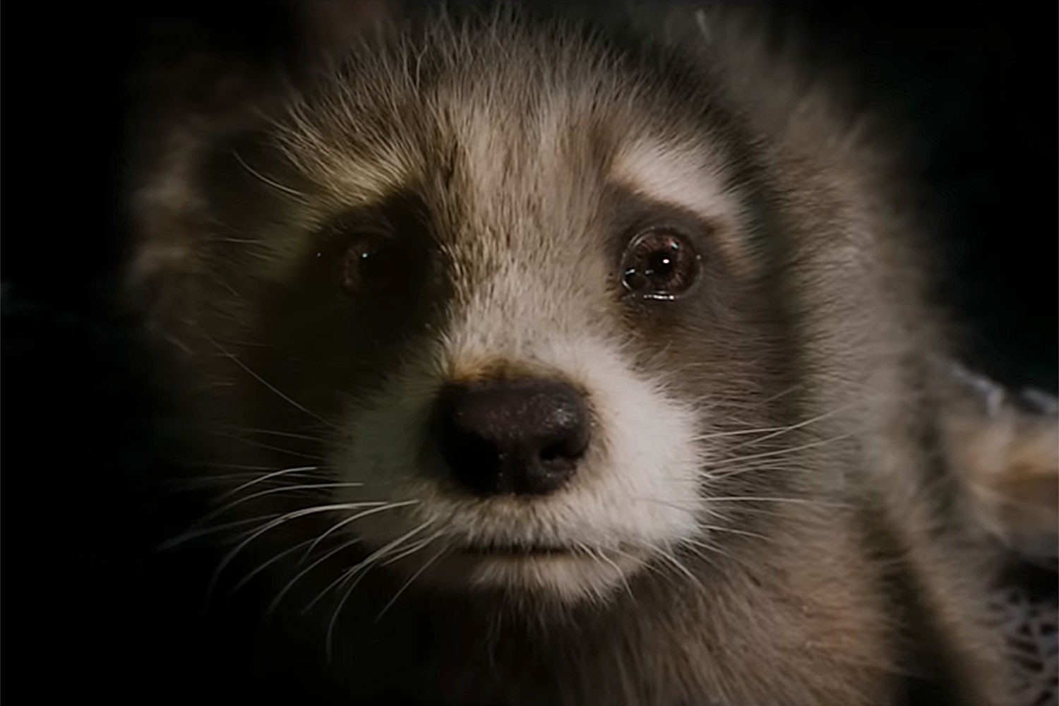 A still from the Guardians of the Galaxy Vol. 3 trailer