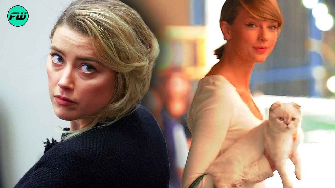 Amber Heard is Poorer Than Taylor Swift's Cat Olivia Benson