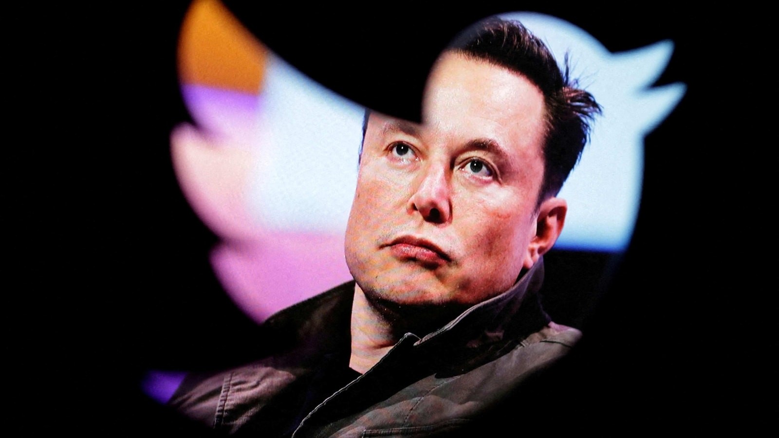 Elon Musk's Twitter morph continues