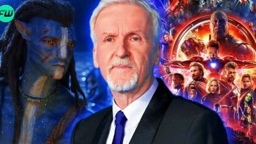 'Avatar - 2 films, 2 best picture nominations, 30 MCU films have 1 nomination': James Cameron's Supporters Mega Troll Marvel Movies' Severe Lack of Quality