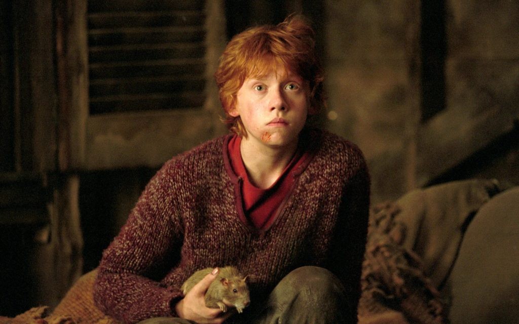 I wasn't really prepared for it: Rupert Grint Had an Outer Body Experience  After Watching Another Actor in His Harry Potter Role