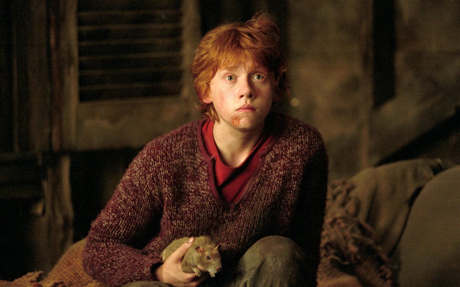 Rupert Grint in Harry Potter
