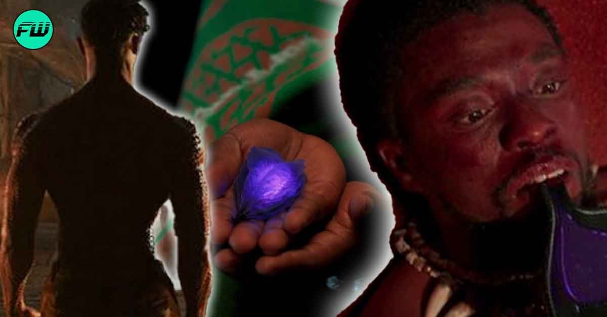 Black Panther: Wakanda Forever - Chadwick Boseman's T'Challa Died in MCU Because of the Heart Shaped Herb, Theory Explained