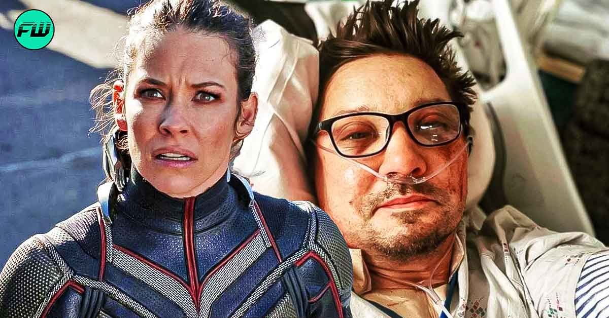 “I expected to hold his hand while he moaned in pain”: Ant-Man 3 Star Evangeline Lilly Shocked After Meeting Jeremy Renner at His Place as Hawkeye Star Escaped Near Death Accident