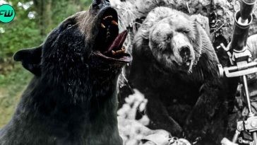 After Cocaine Bear Set to Dominate the Box-Office, Fans Demand Movie on Real-Life Polish Bear Who Fought in World War 