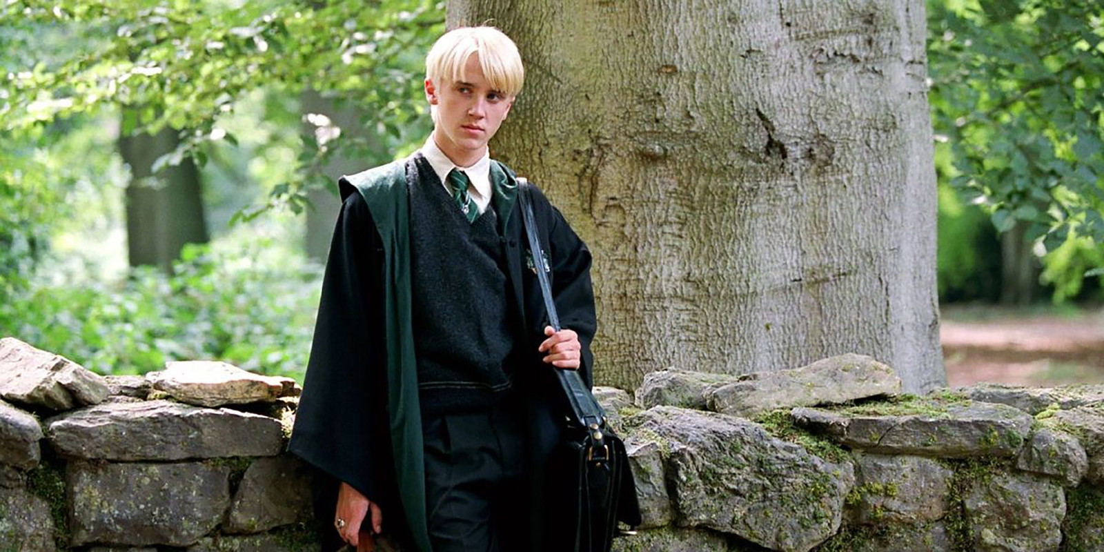 Tom Felton as Draco Malfoy