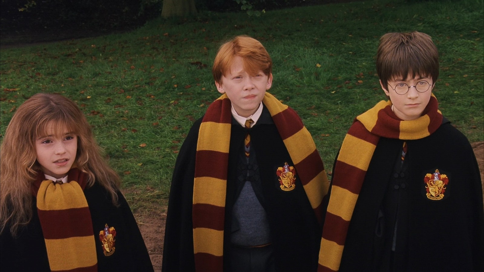 Daniel Radcliffe, Emma Watson, and Rupert Grint in Harry Potter