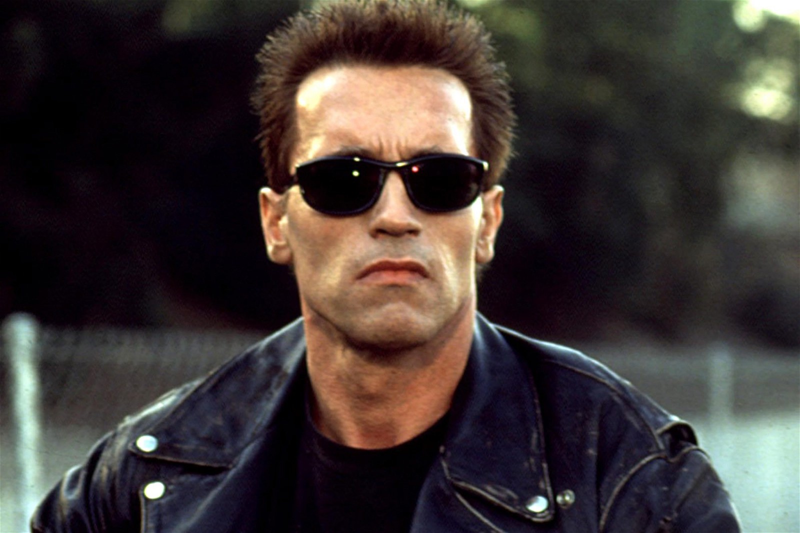 Arnold Schwarzenegger called his political rivals "girlie men"