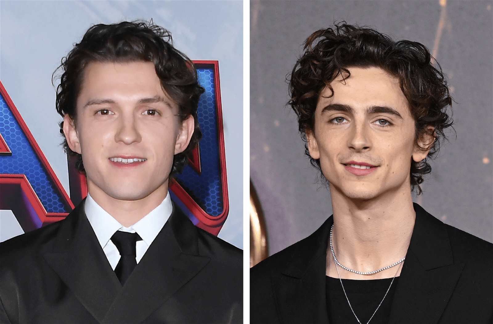 Timothee Chalamet and Tom Holland were top contenders for Wonka (2023)