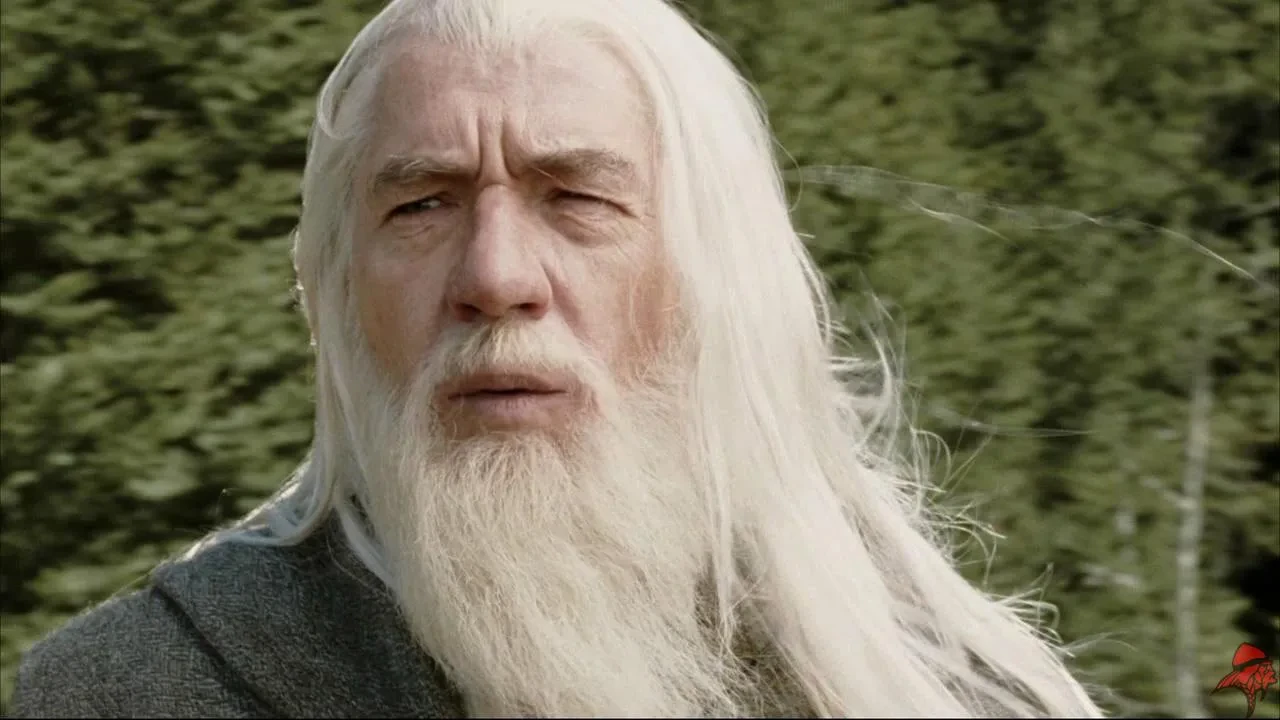 Ian McKellan as Gandalf