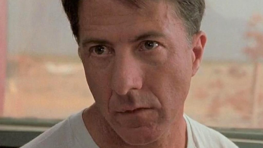 Dustin Hoffman as Raymond 
