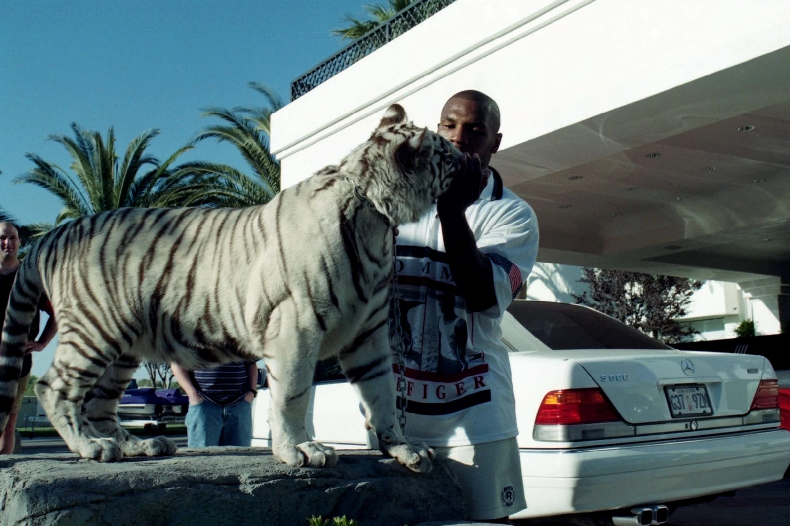 Mike Tyson with one of his tigers 