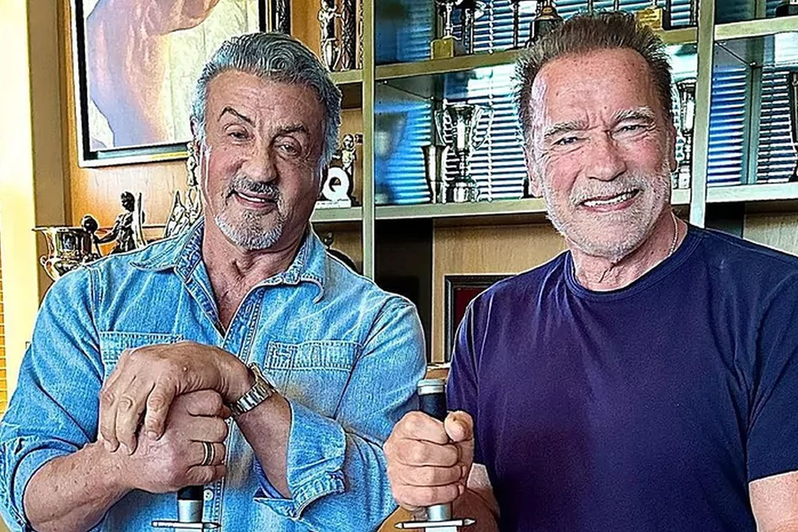 Arnold Schwarzenegger and Sylvester Stallone