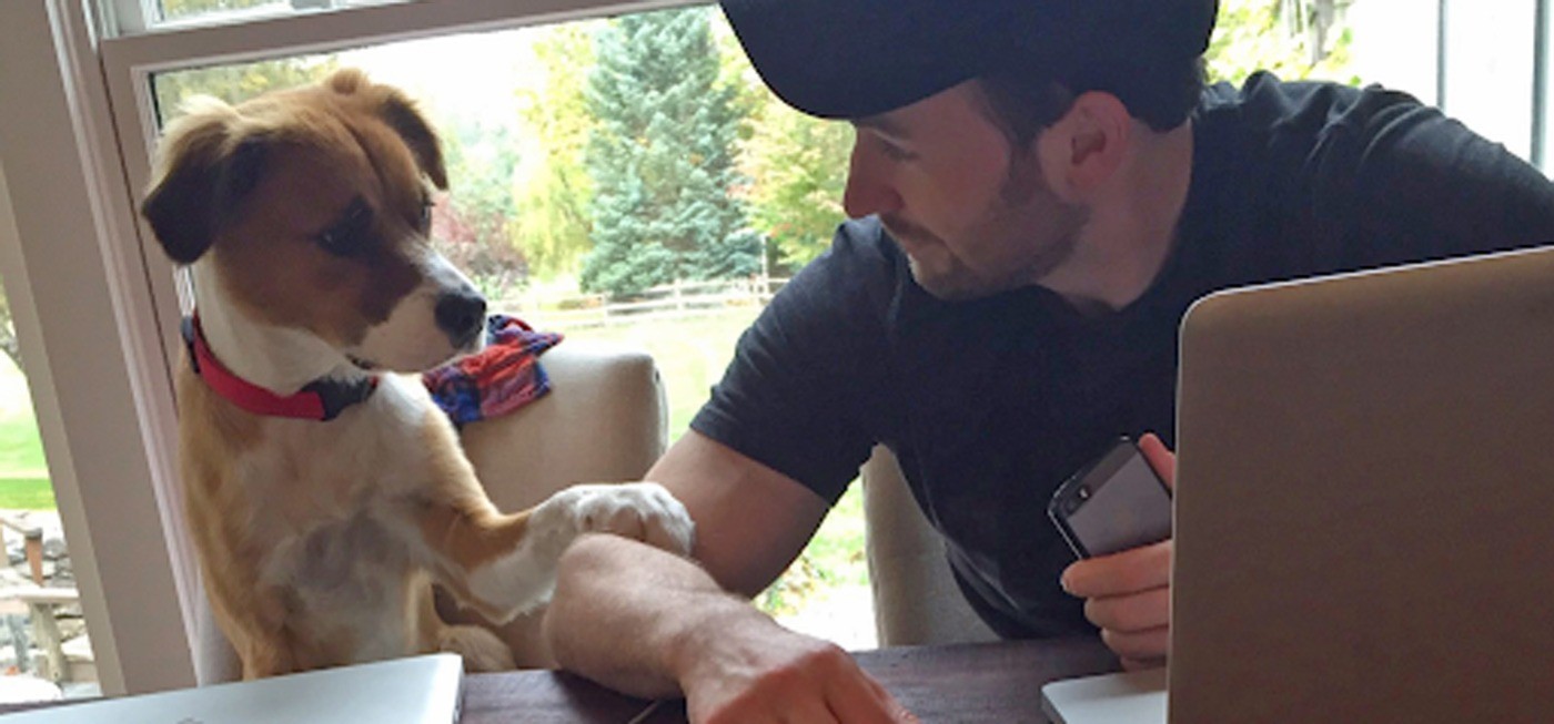 Chris Evans with his dog Dodger