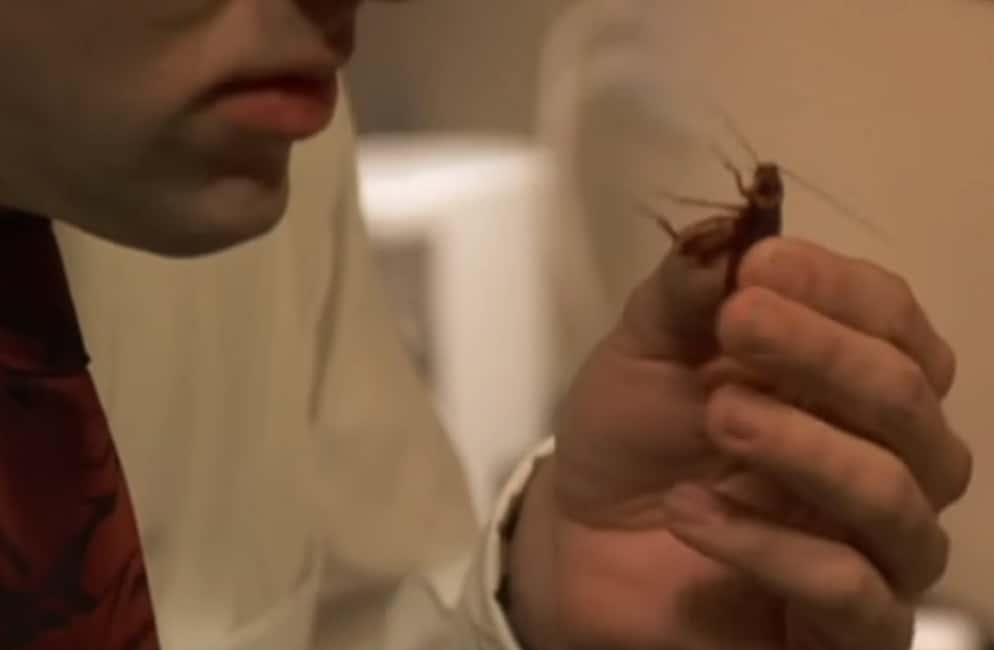 Nicolas Cage eating live cockroach