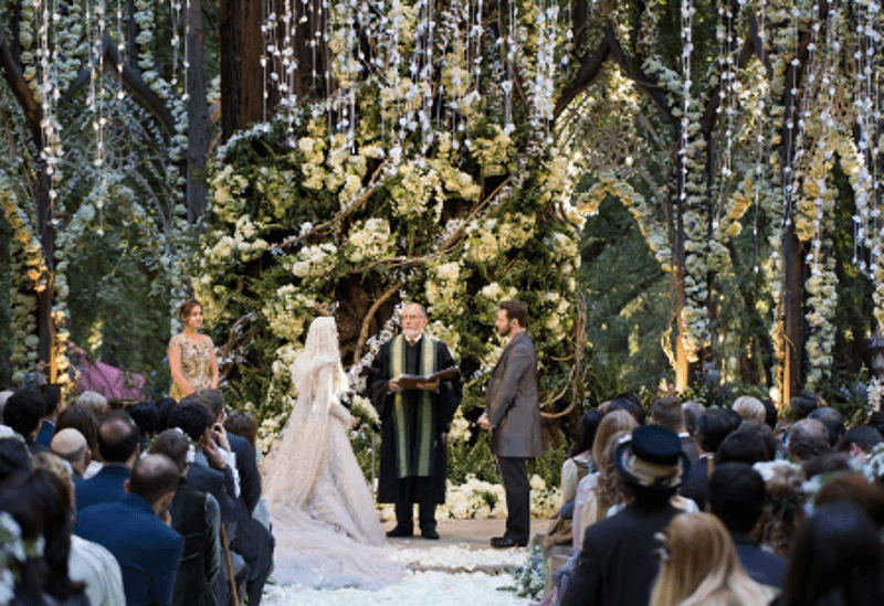 Sean Parker and Alexandra Lenas Parker's wedding 