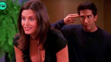 Disturbing Story of David Schwimmer's Ross and Monica in FRIENDS