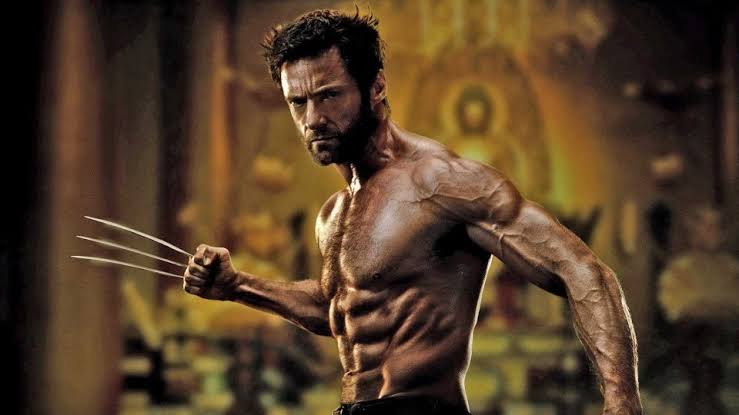 Hugh Jackman as Wolverine