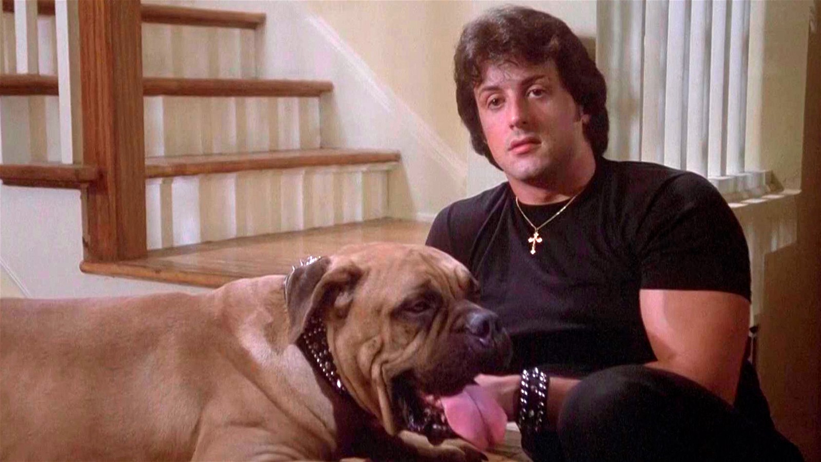 Sylvester Stallone with his pet dog Butkus