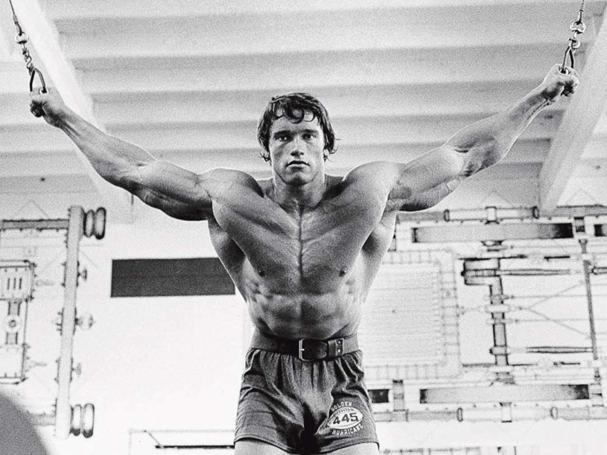 Arnold Schwarzenegger 