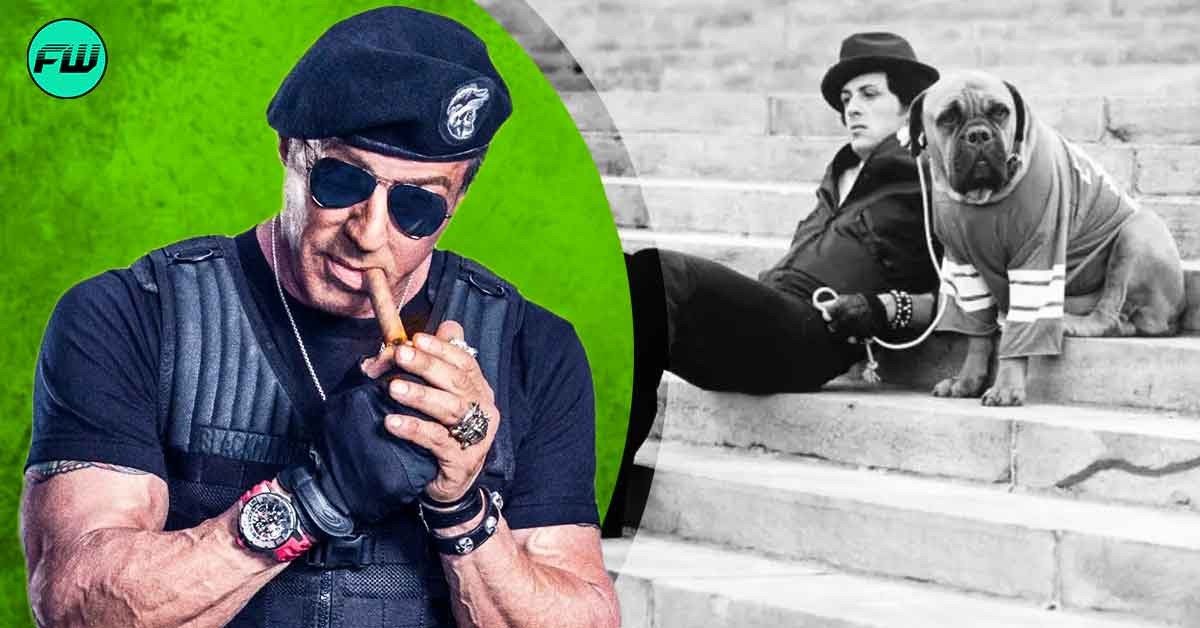 The Man Who Refused to Return Sylvester Stallone His Dog Laid Out One Strange Condition For the Rocky Star