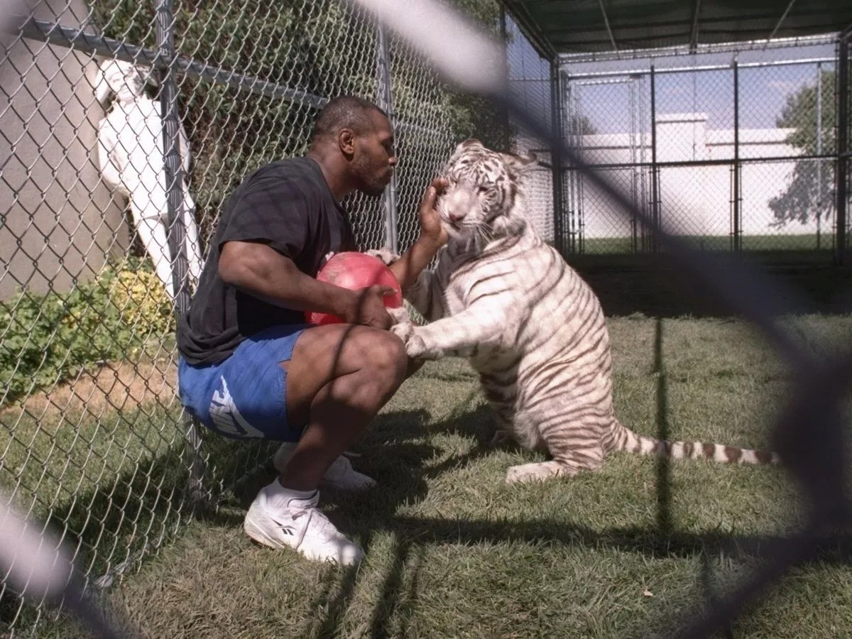 Mike Tyson with his big cat