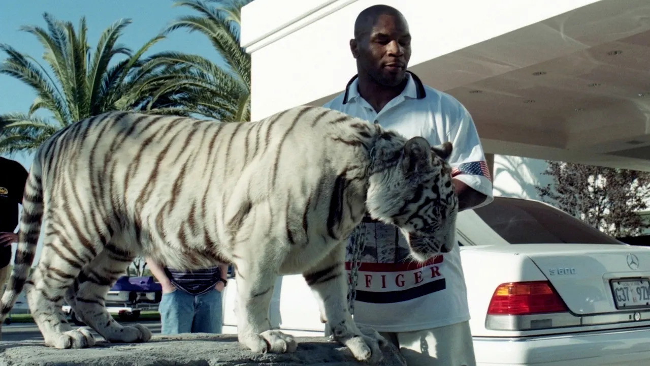 Mike Tyson's exotic white Bengal tiger