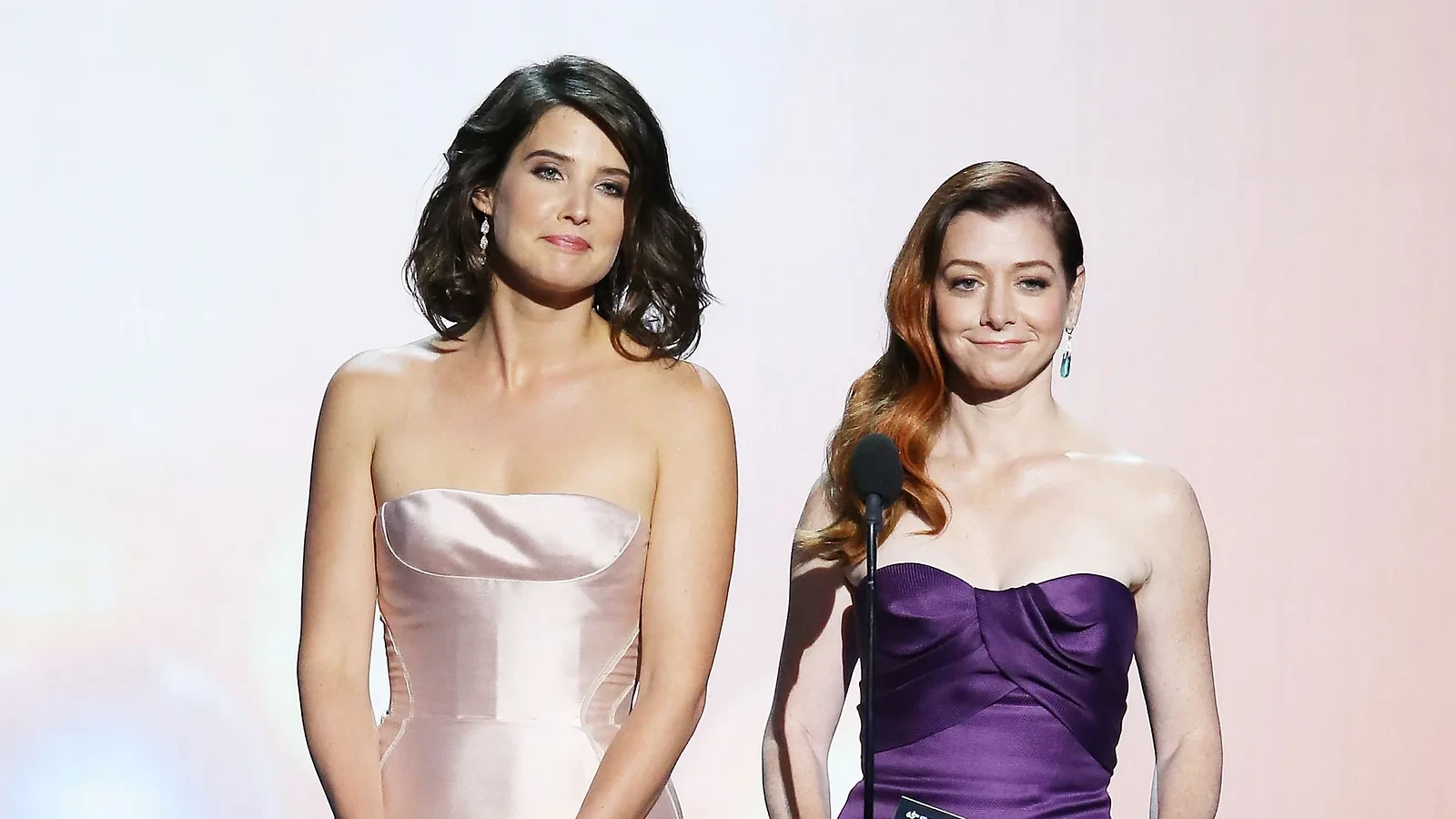 Cobie Smulders co-star Alyson Hannigan was pregnant too