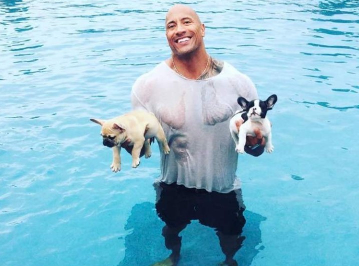 Dwayne Johnson's pet dogs- Hobbs and Brutus