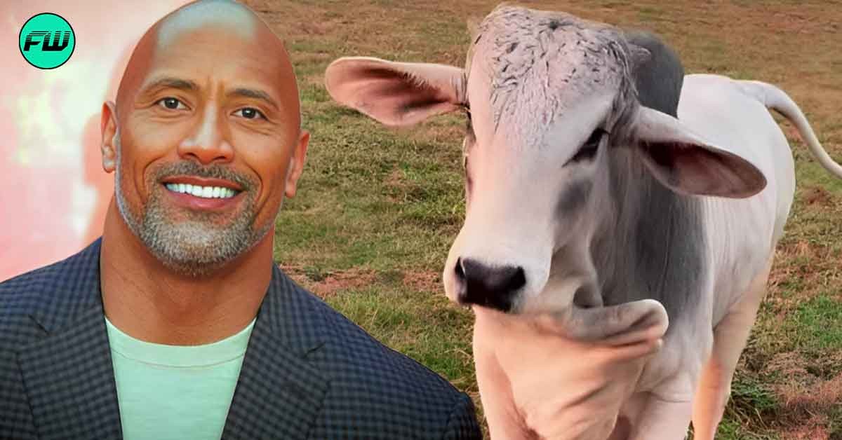 "My pet Brahma Bull is still a 1500 lbs baby": Dwayne Johnson Reveals His Horned Monster Pet, Says He's "Chicken Soup" for the Soul