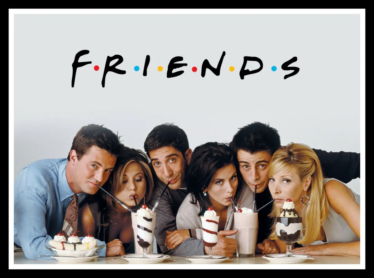 David Schwimmer starred in the hit sitcom FRIENDS