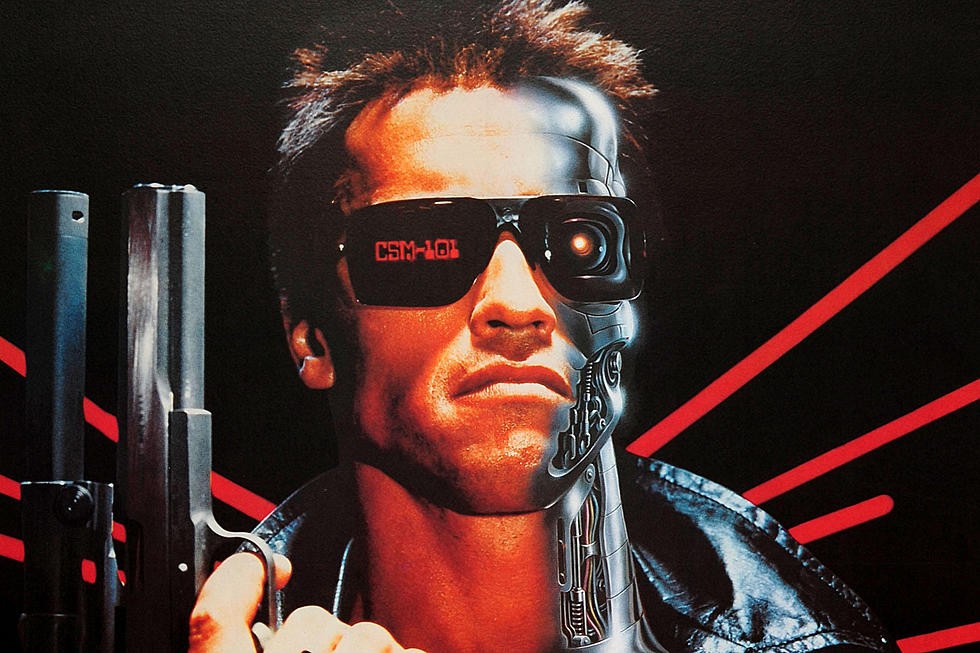 Arnold Schwarzenegger as Terminator