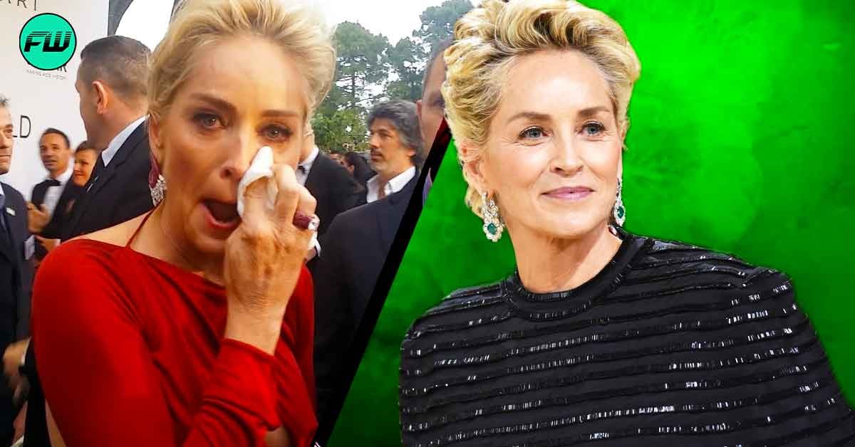 Sharon Stone Was Ready to Risk Her $60M Hollywood Fortune as Actress Tried to Fight Back After Being Humiliated in Public